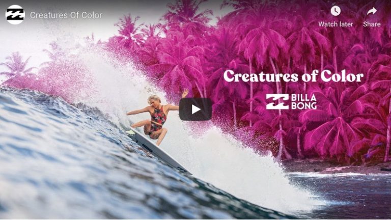 Read more about the article Creatures of Colors by Billabong Womens